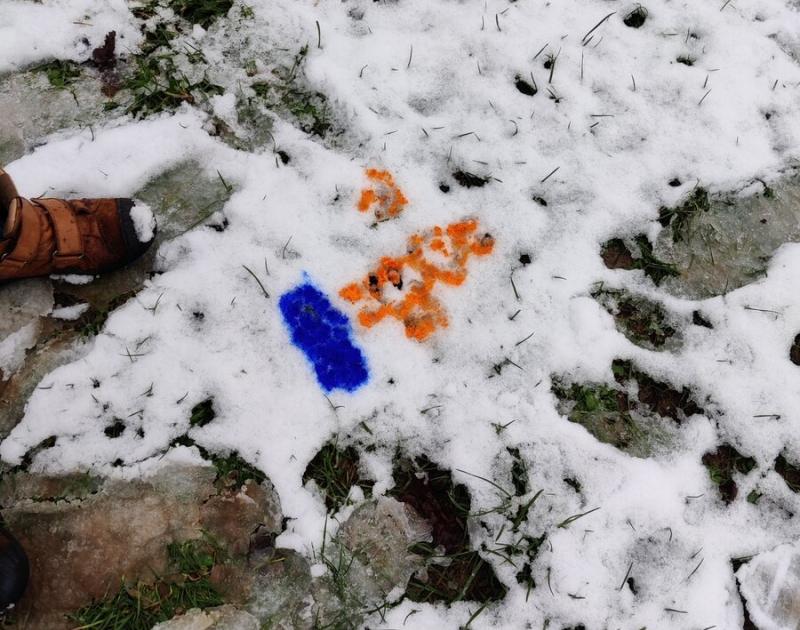 Sneeuw @ De Klimop