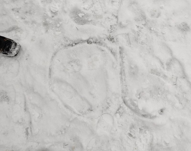 Sneeuw @ De Klimop