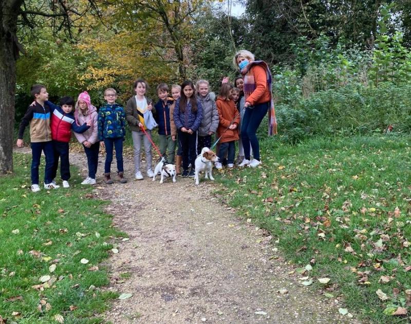 Herfstwandeling