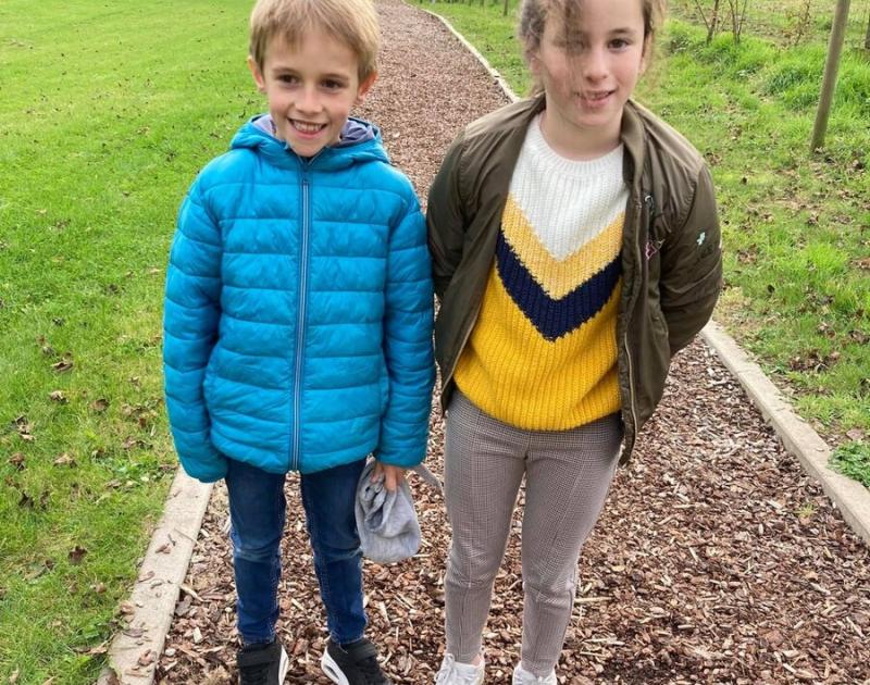 Herfstwandeling