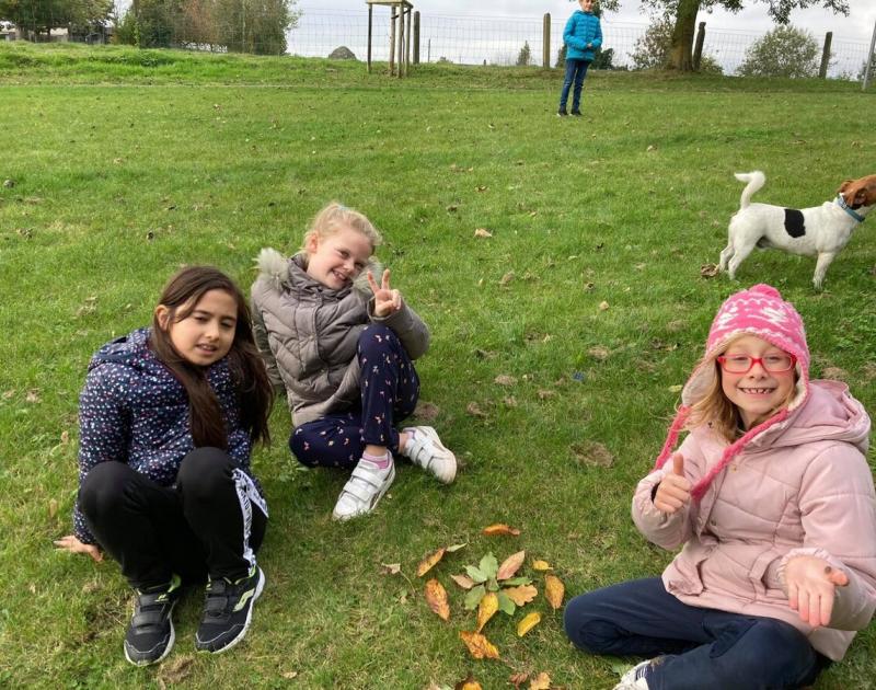 Herfstwandeling