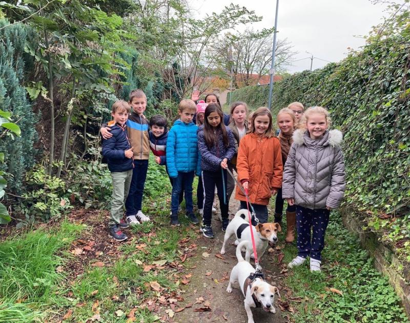 Herfstwandeling