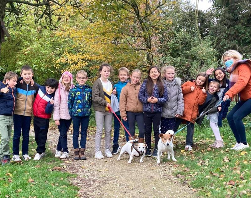 Herfstwandeling