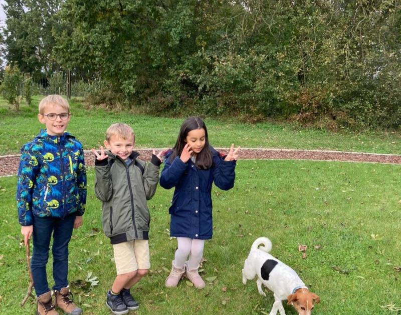 Herfstwandeling
