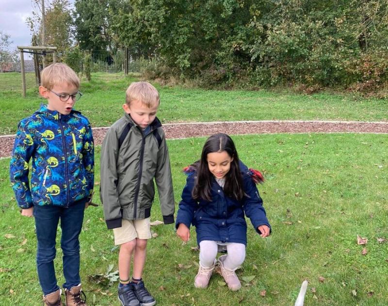 Herfstwandeling
