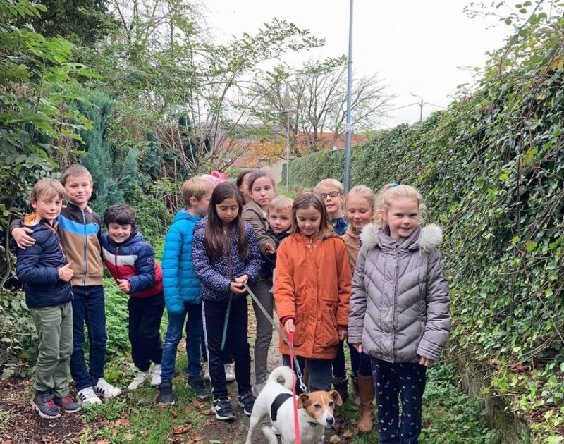 Herfstwandeling
