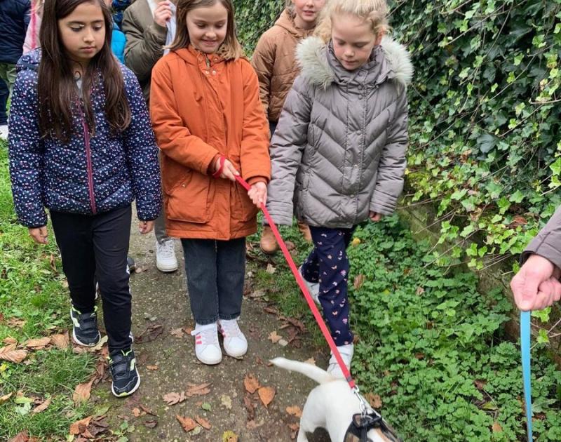 Herfstwandeling