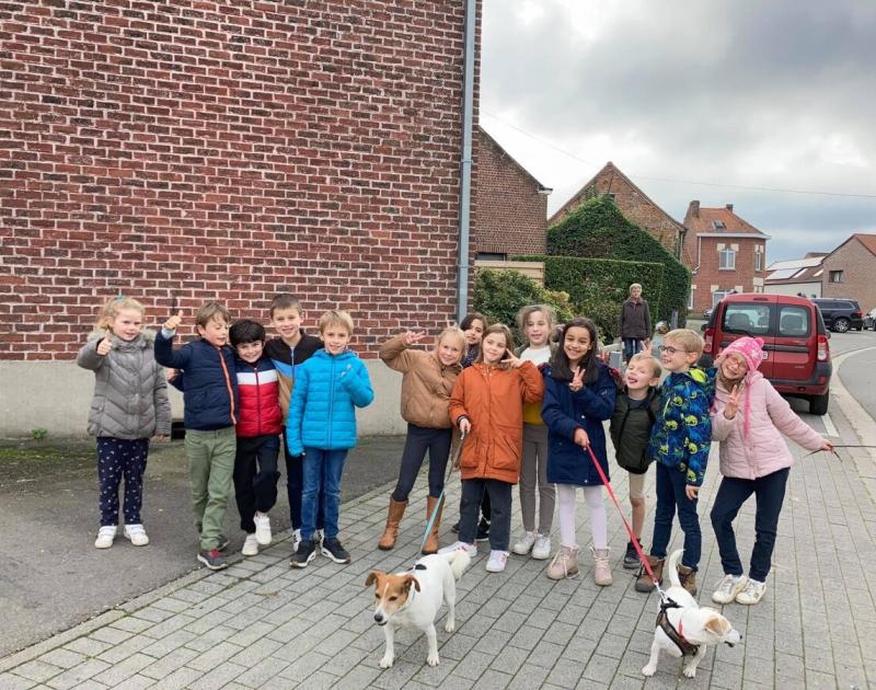 Herfstwandeling