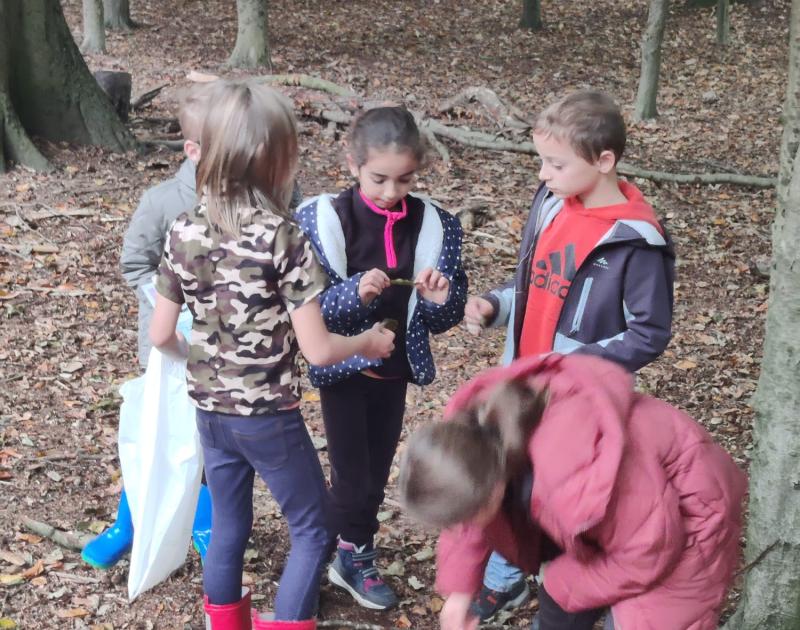 2AB - Uitstap bos Huizingen