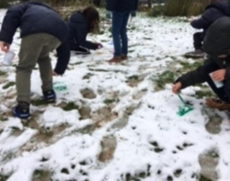 Sneeuwschilderen