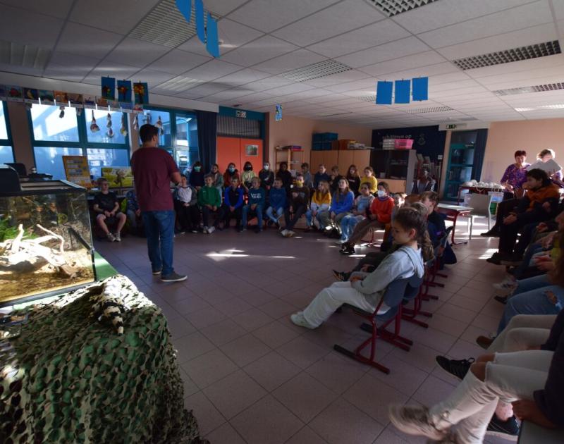 Reptischool