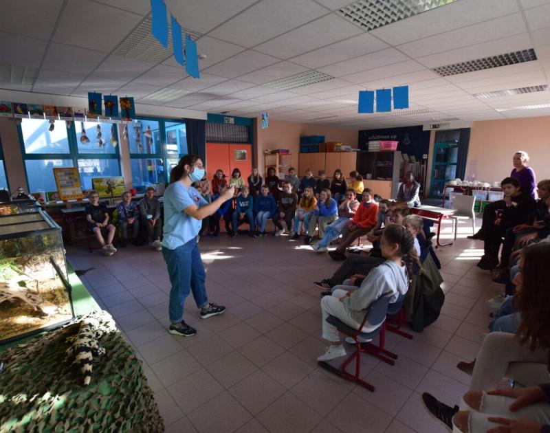 Reptischool