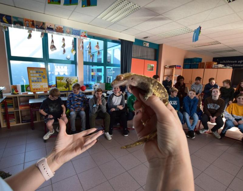 Reptischool
