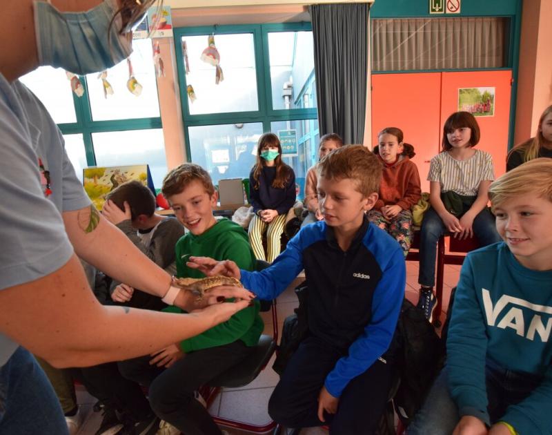 Reptischool