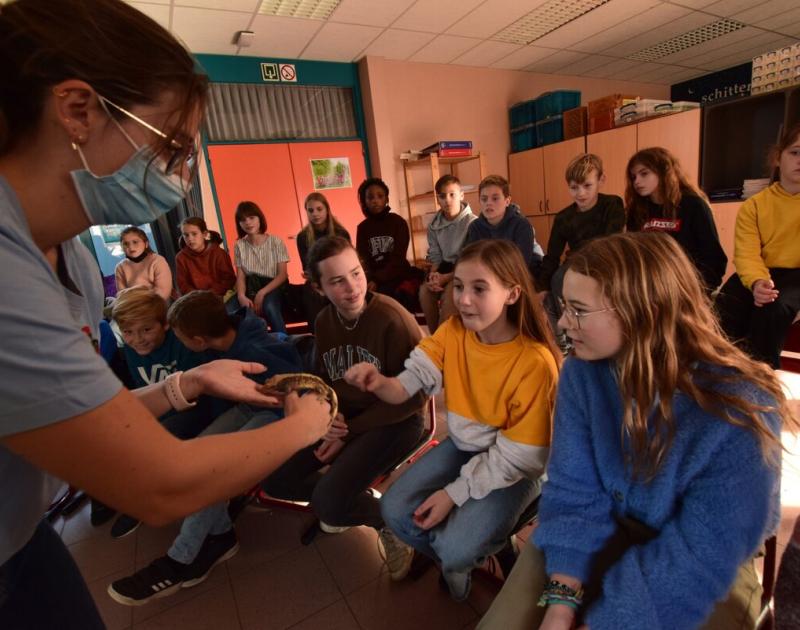 Reptischool