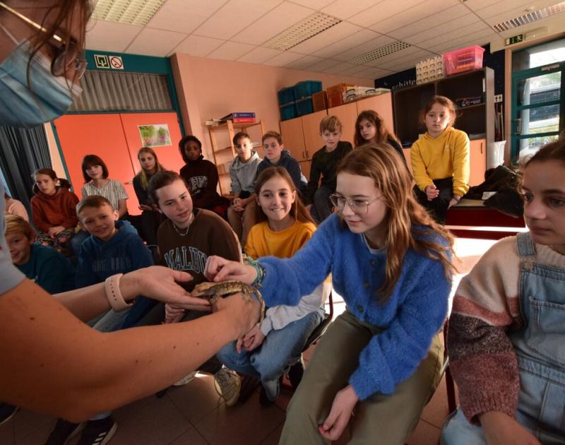 Reptischool