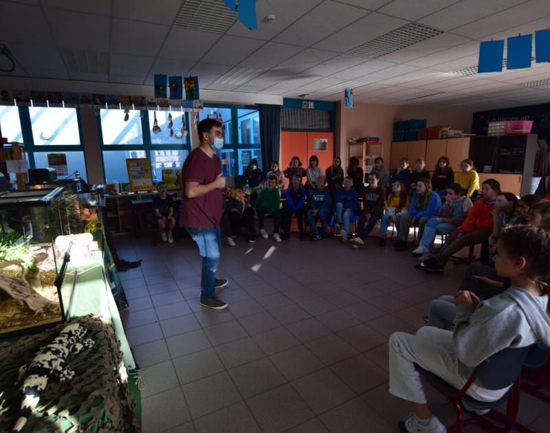 Reptischool