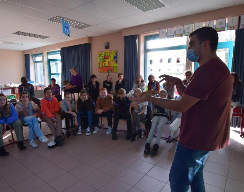 Reptischool