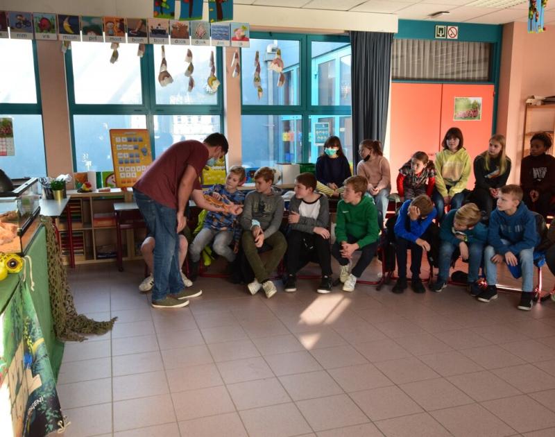 Reptischool