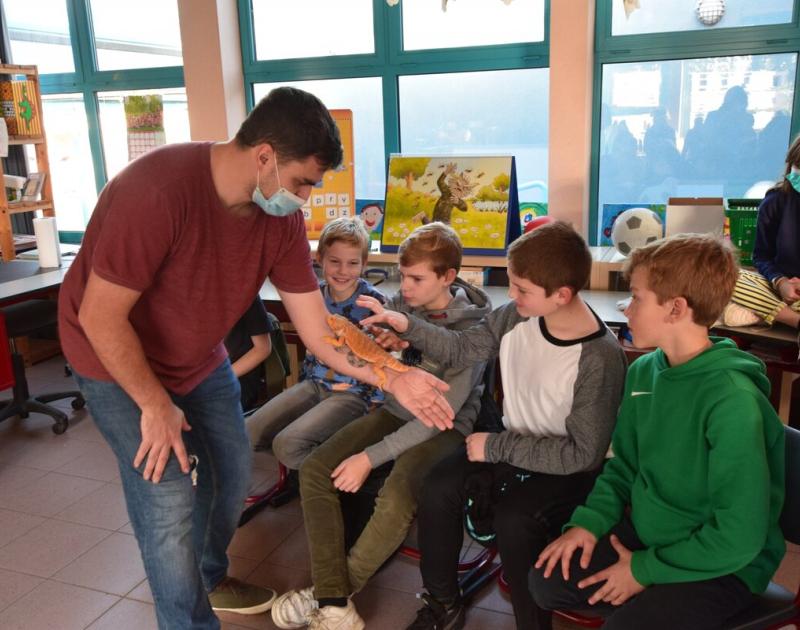 Reptischool