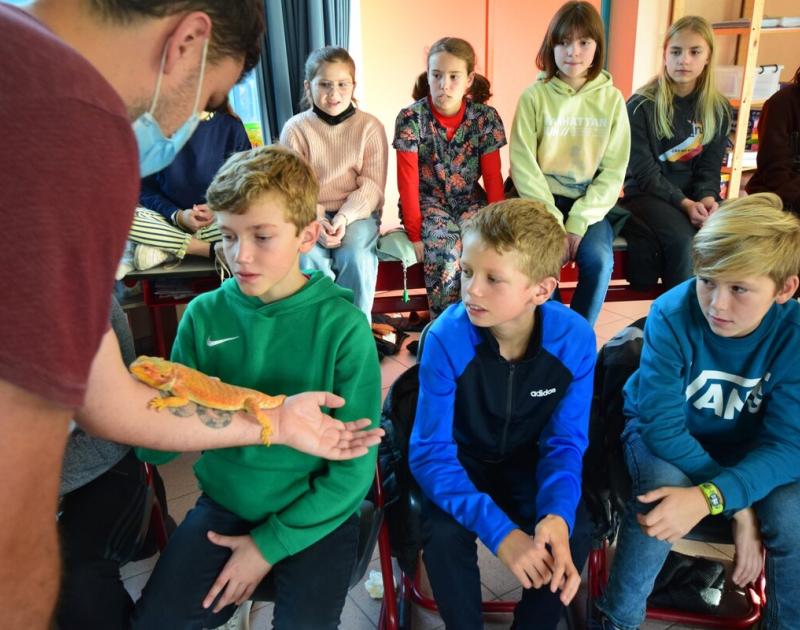 Reptischool