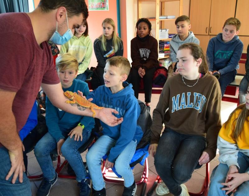 Reptischool
