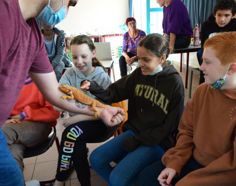 Reptischool