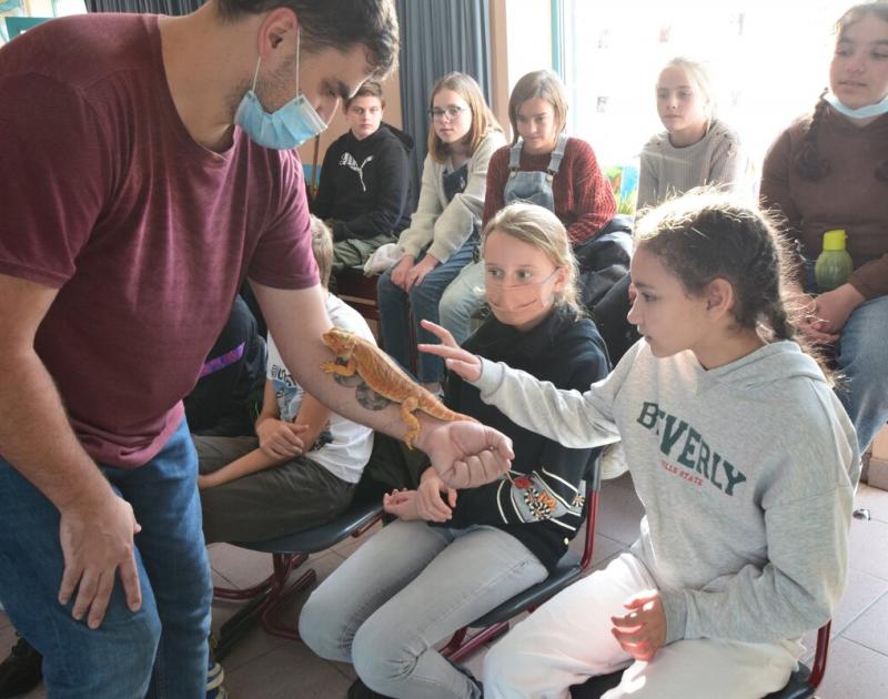 Reptischool