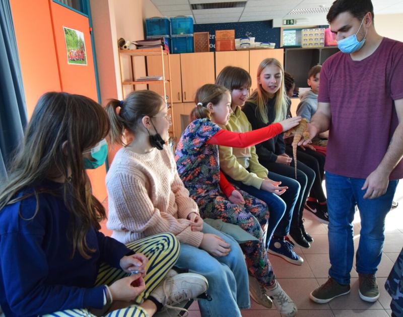 Reptischool