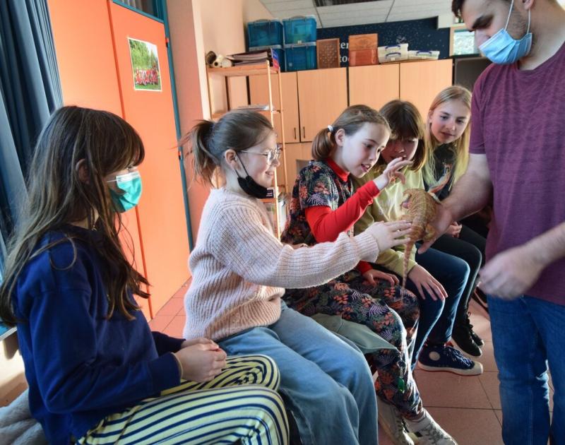 Reptischool
