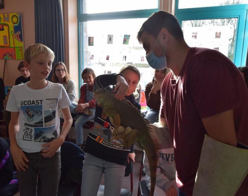 Reptischool