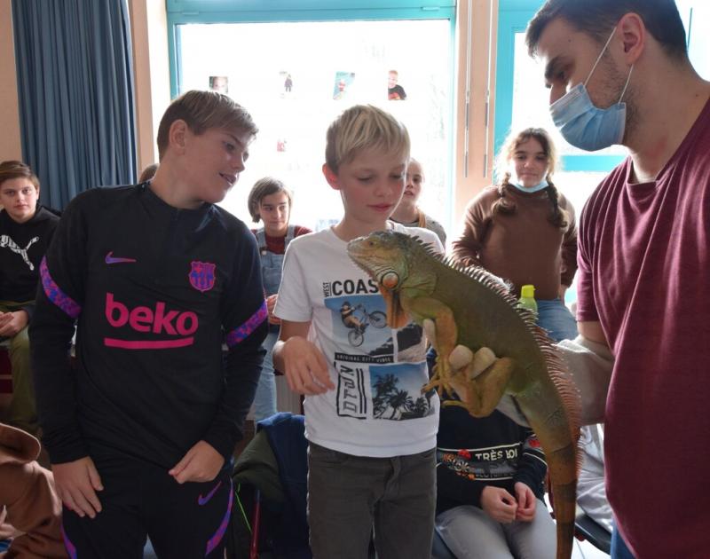 Reptischool