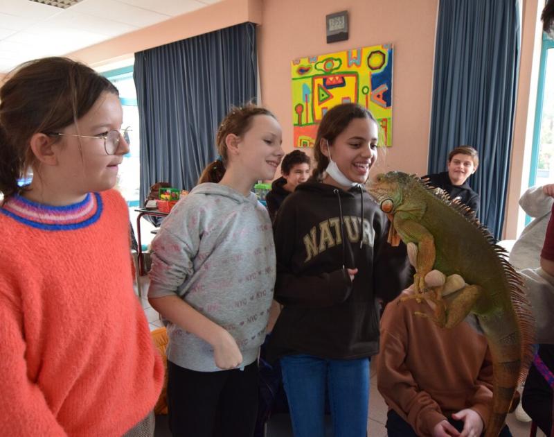 Reptischool