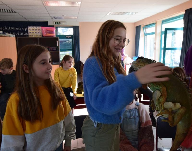 Reptischool