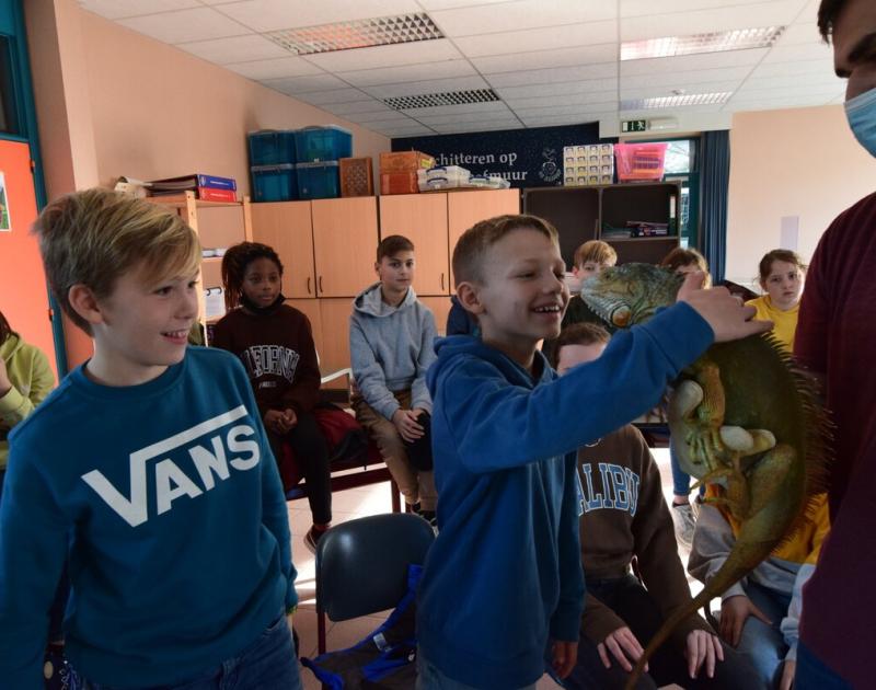 Reptischool
