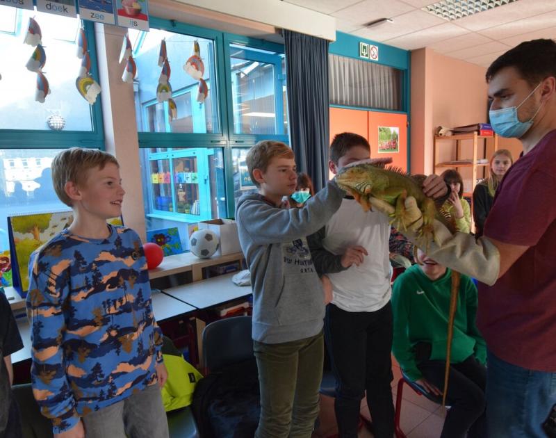 Reptischool