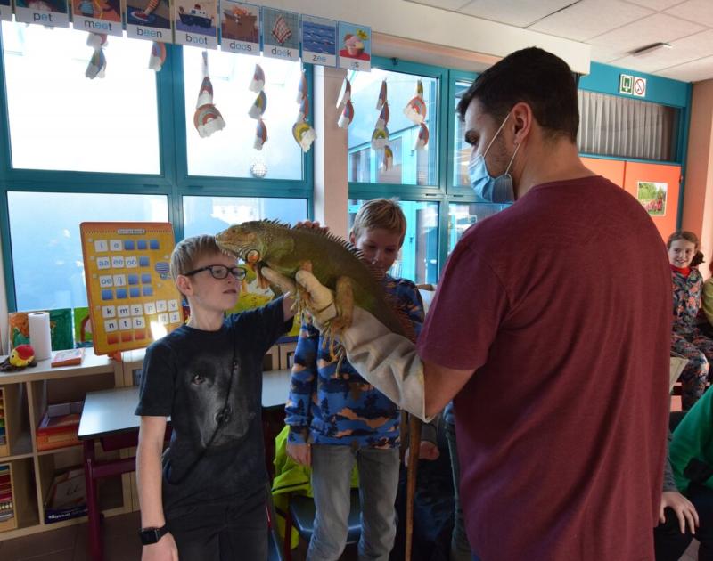 Reptischool