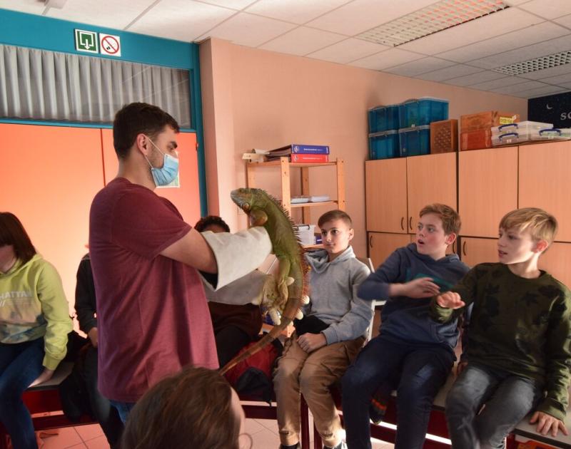 Reptischool