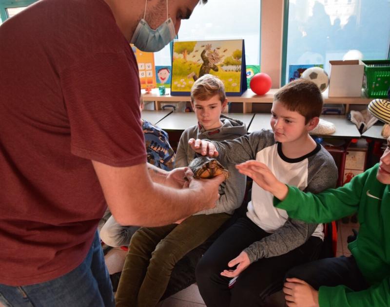 Reptischool