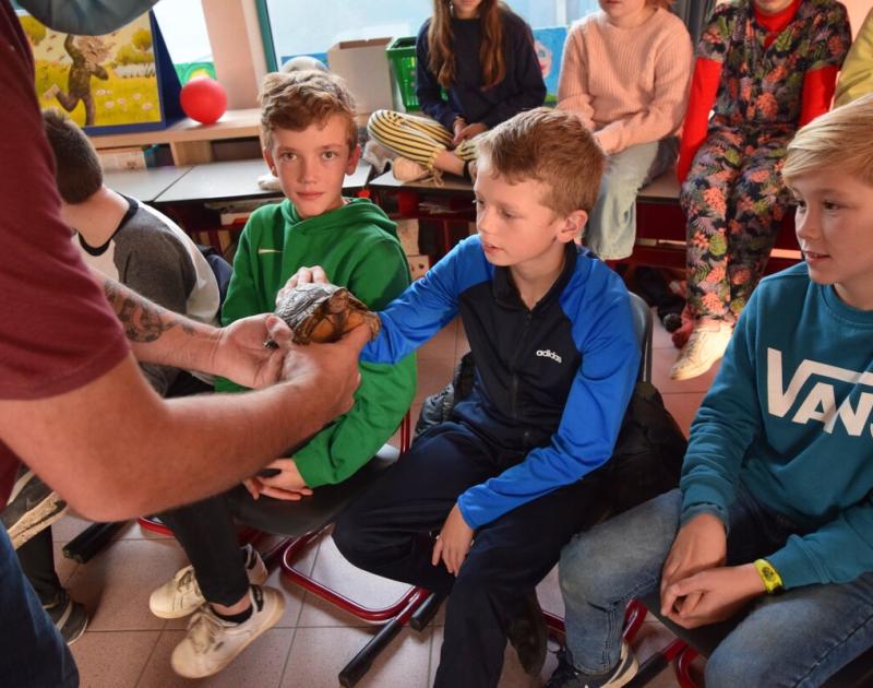 Reptischool