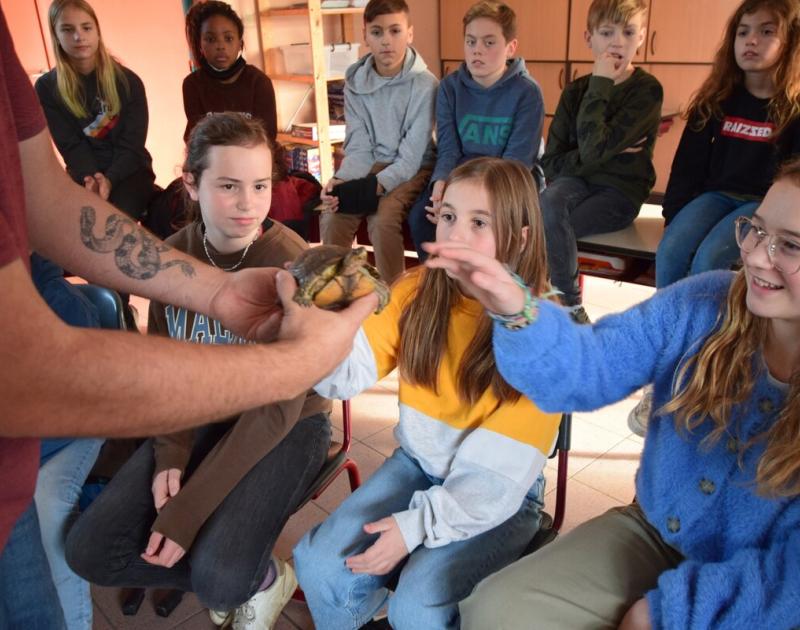 Reptischool