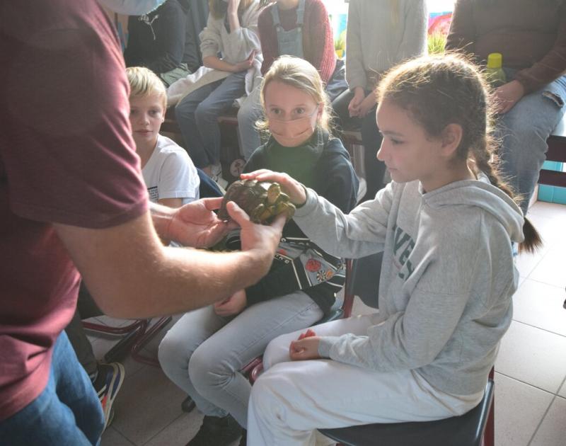Reptischool