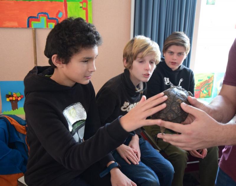 Reptischool