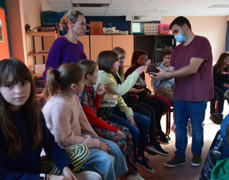 Reptischool