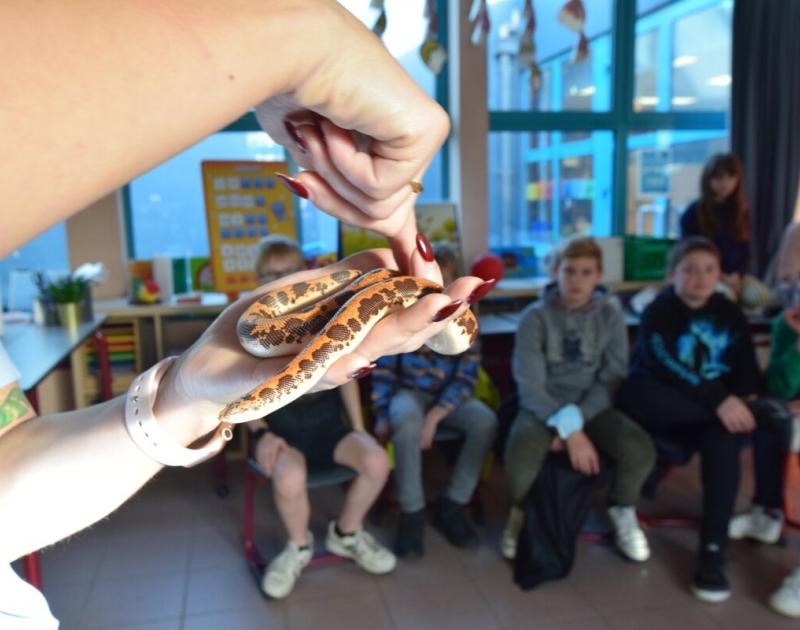 Reptischool