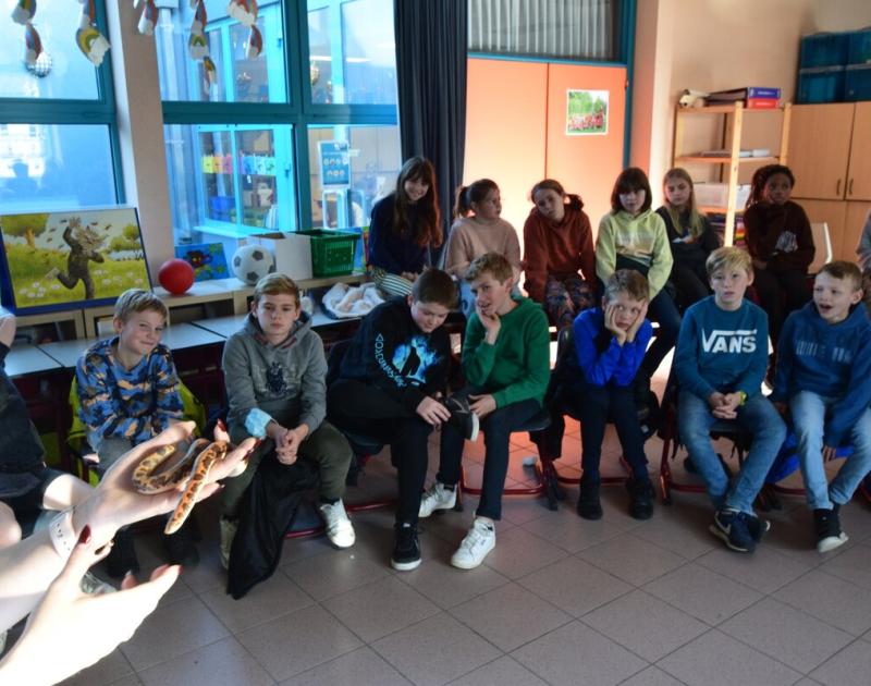 Reptischool