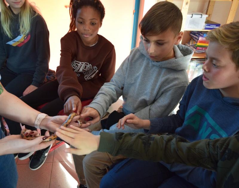 Reptischool