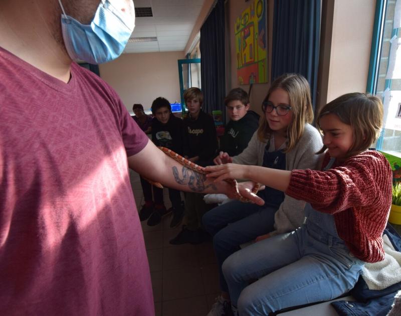 Reptischool