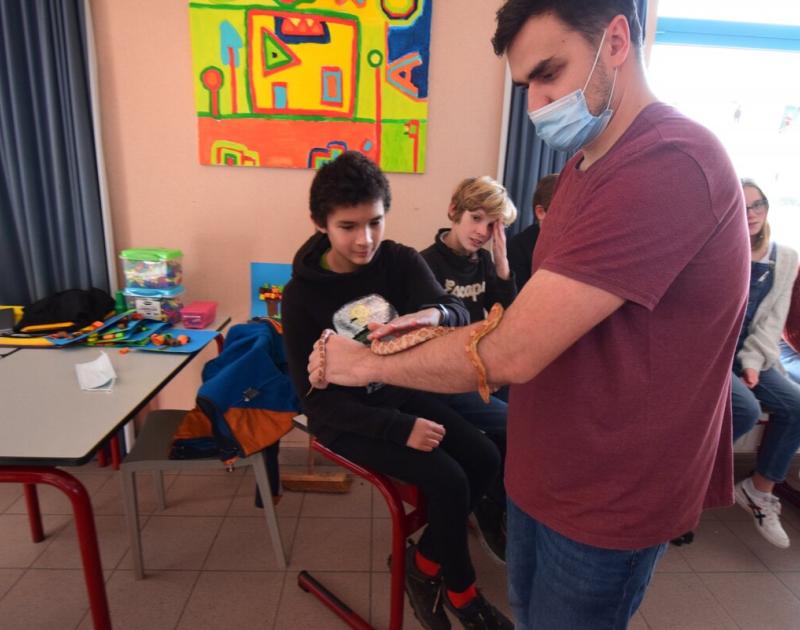 Reptischool