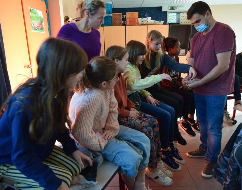 Reptischool